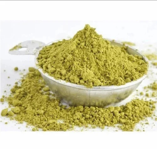 Gudmar Churna - Natural Green Powder Gymnemic Acids 25-75% | Blood Sugar Management Weight Loss Digestive Health