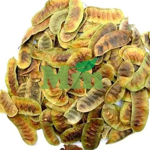 Loose Senna Pods