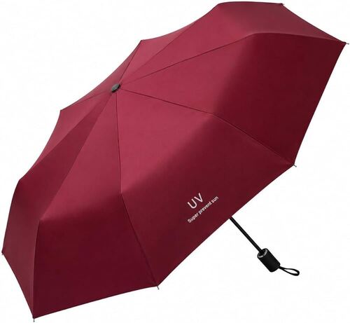Rain Umbrella