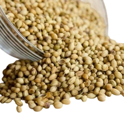 Pure Scooter Coriander Seeds
