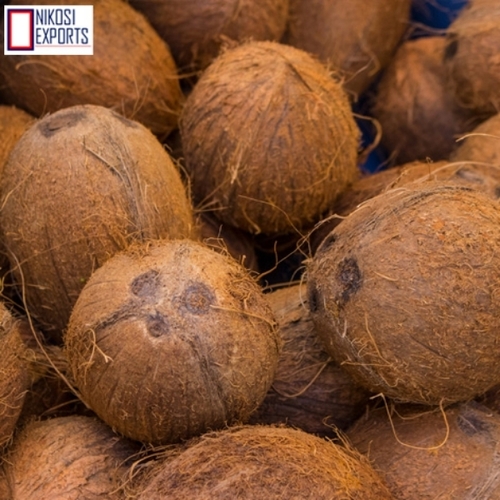 Brown Coconut 