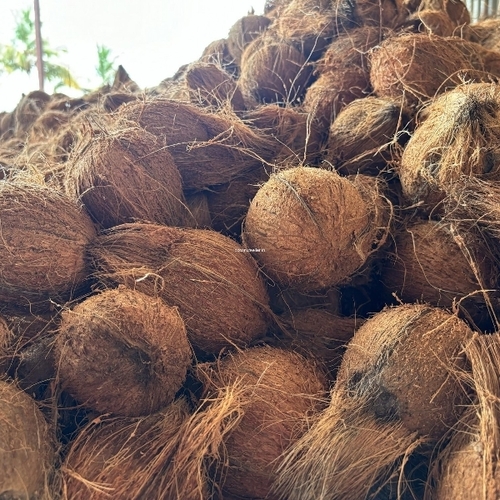 Coconut - Color: Brown