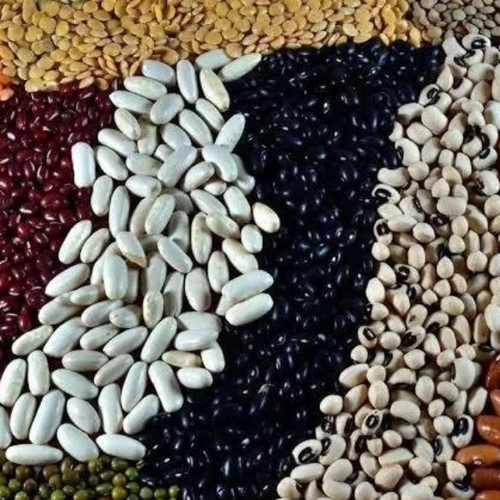 Pulses By Aditya Commodity Traders