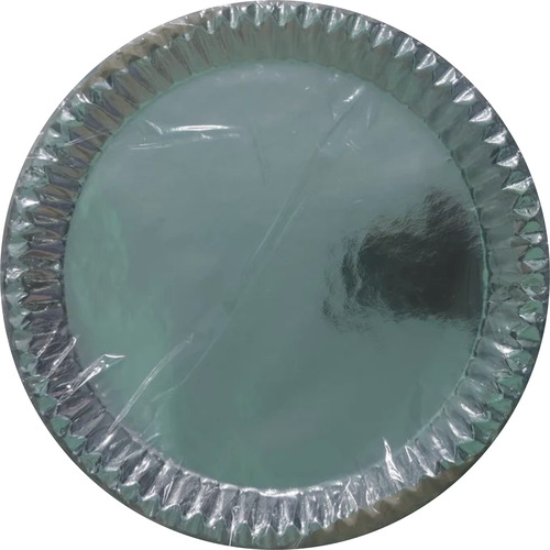 Silver Disposable Dinner Plates