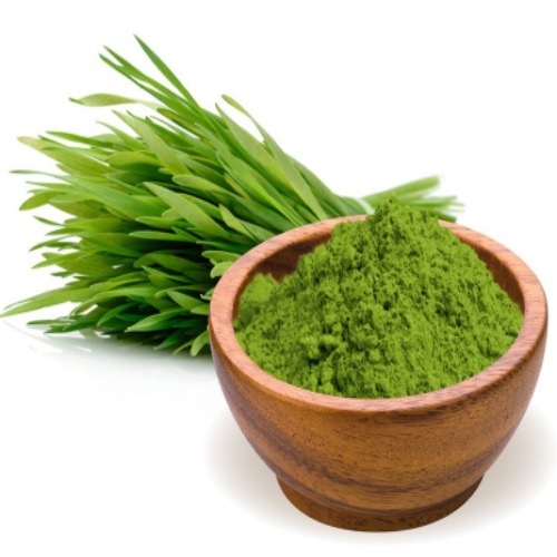 Organic Wheat Grass Powder