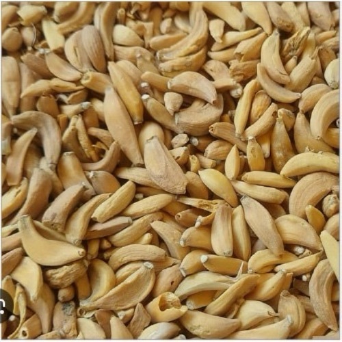 Dehydrated Garlic By Kahan Foods