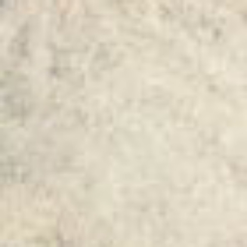 Non GMO basmati rice
