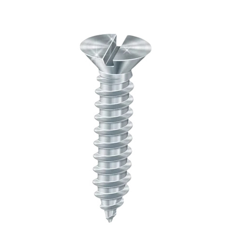 Stainless Steel Screw