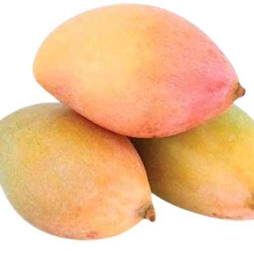 Totapuri Mango - Color: Golden Yellow