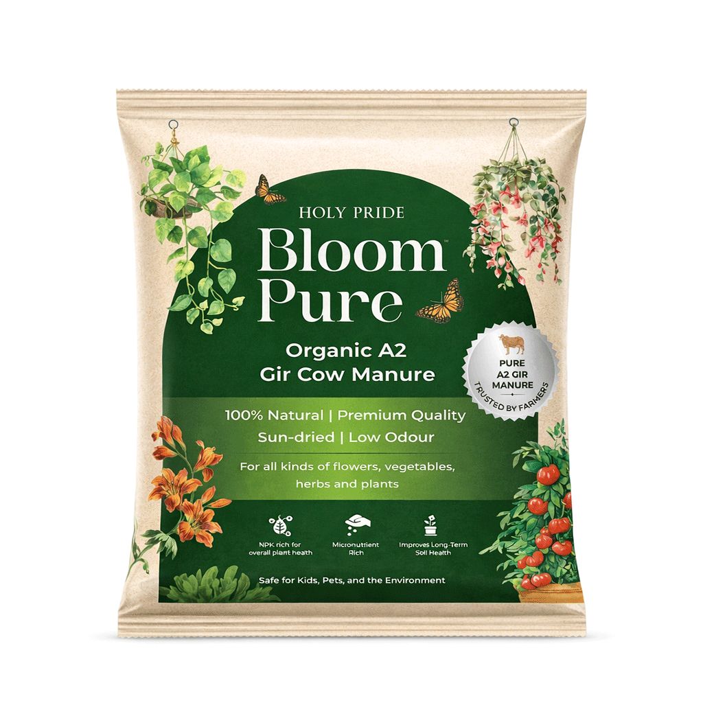 Compost Cow Dung Powder Manure - Application: Organic Fertilizer