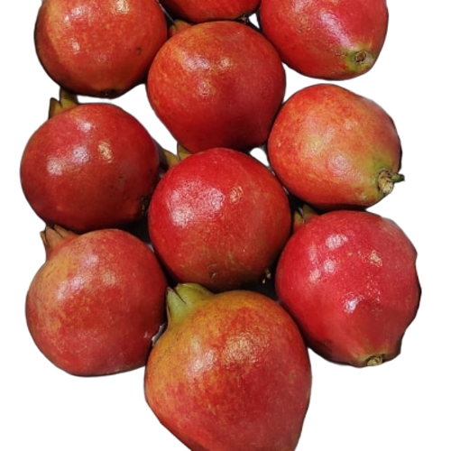 Pomegranate Fruit