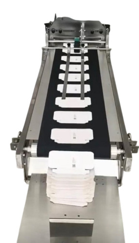 Automatic Carton Batch Coding Machine