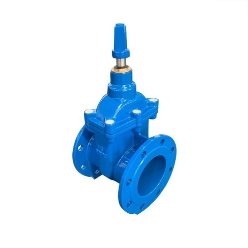Cast Iron Sluice Valve (H) 50mm