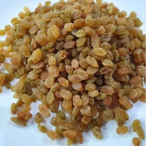 Golden Raisin