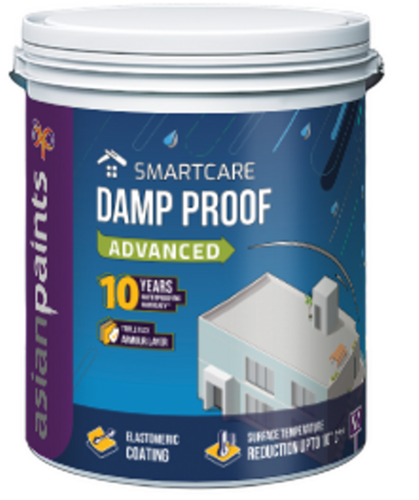 Damp Proof Paint