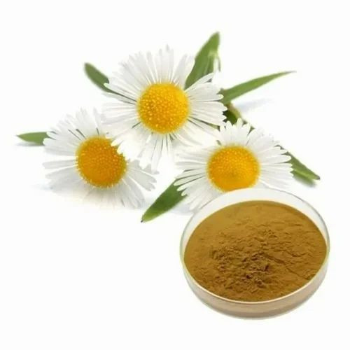 Dried Chamomile Flower