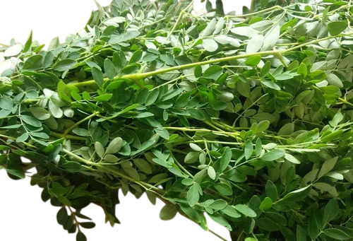 Moringa Leaves