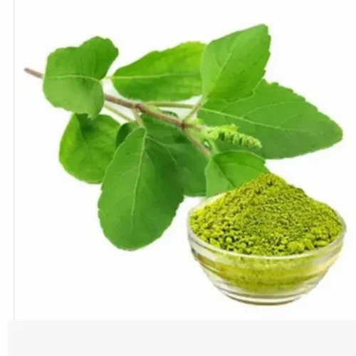 Tulsi Powder