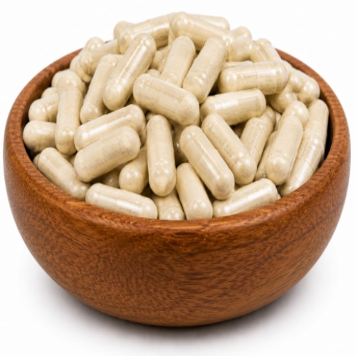 Shatavari Capsule