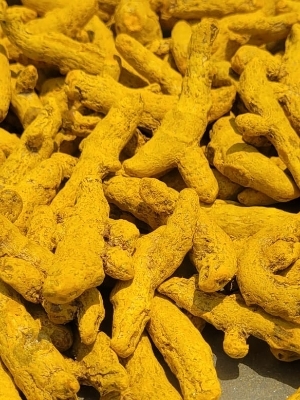 Turmeric Finger