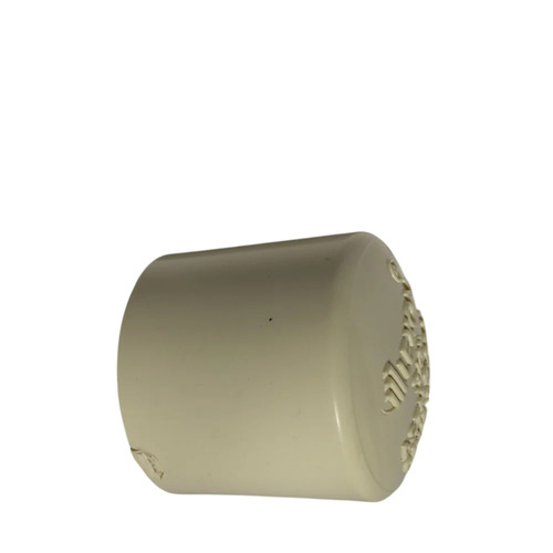 1 Inch Lexon Cpvc Endcap