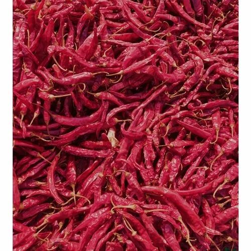 Guntur Dry Red Chilli