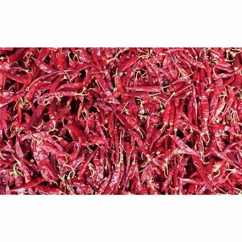 Guntur Red Chilli By Sita Ram Rajesh Kumar