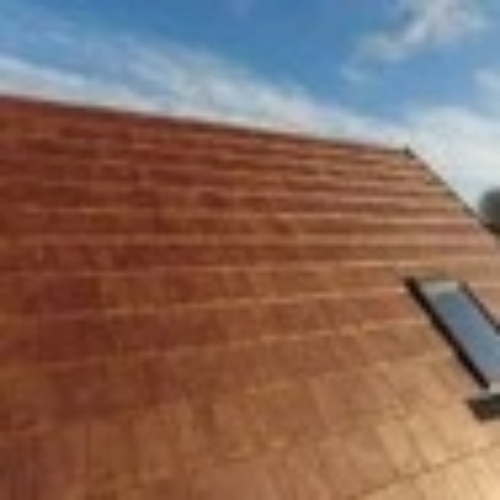 Asphalt roofing shingle
