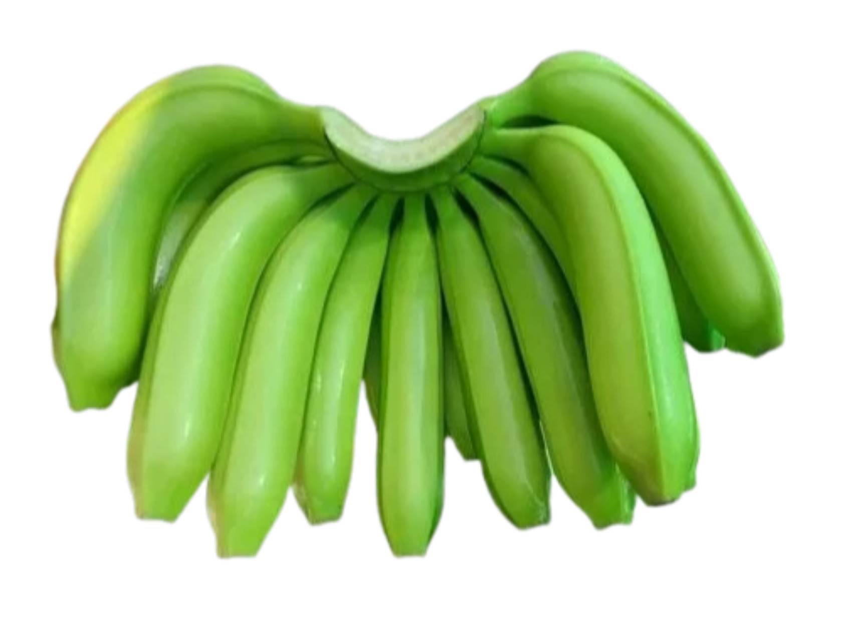 G9 Cavendish Banana - Color: Green