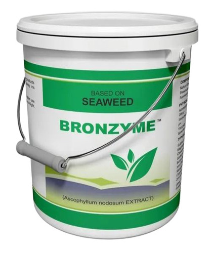 Seaweed Extract Granule Fertilizer