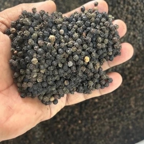 Black Pepper 