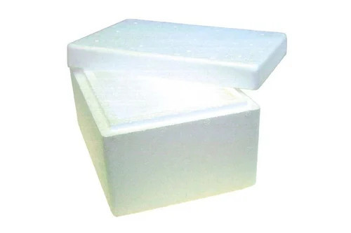 White Thermocol Ice Box