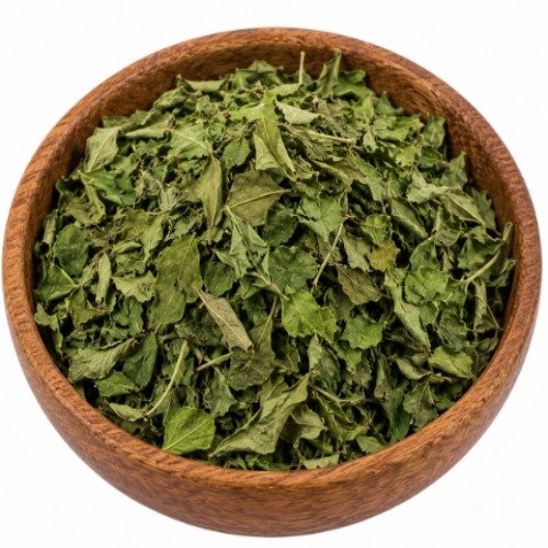 Dried Moringa Leaves - Product Type: Herbal Product