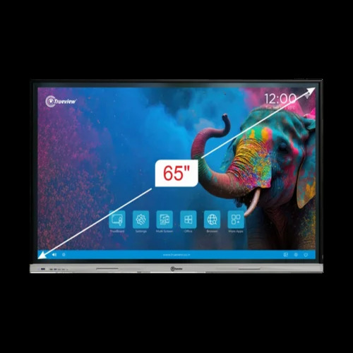 65 Globus Interactive Board