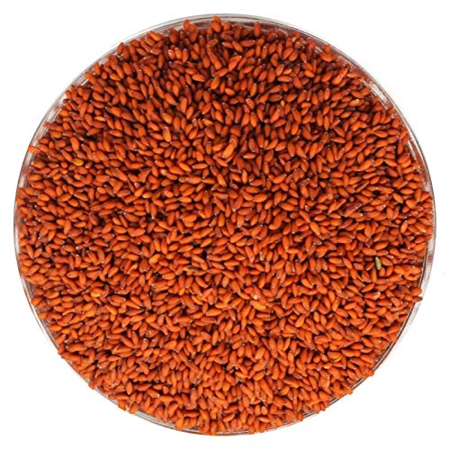Asaliya Seeds