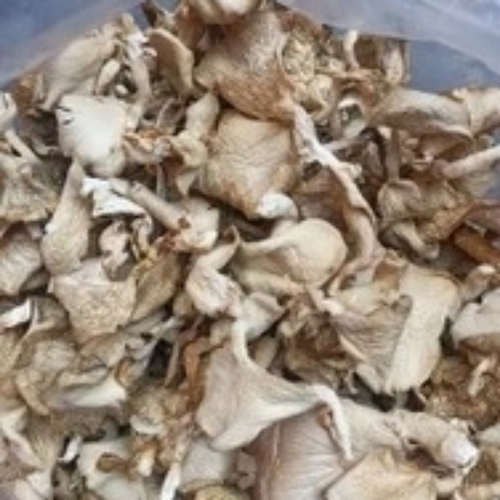 Dried Mushroom - Color: White