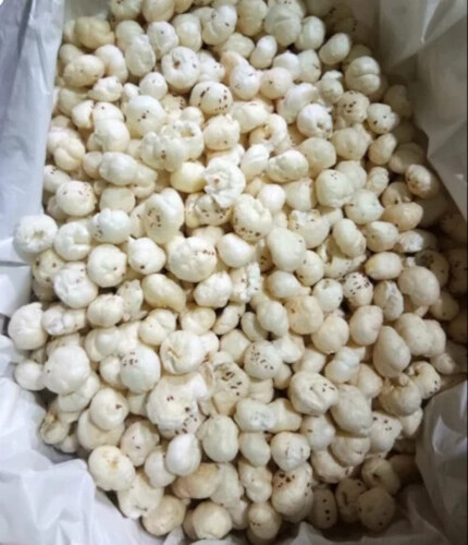 Fresh Makhana