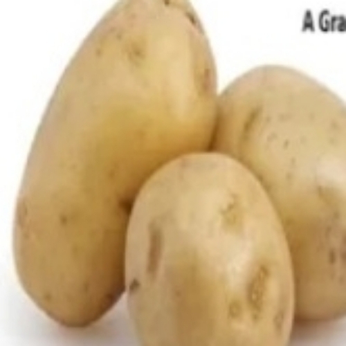 Potato