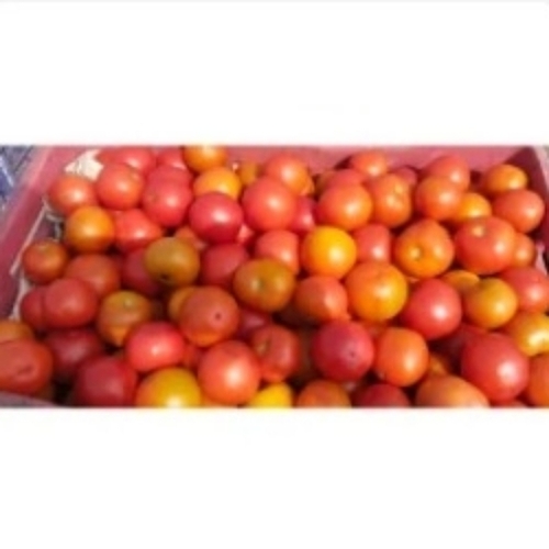 Vegetable Tomato