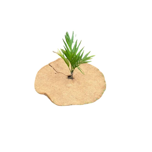 Coir Mulch Mat