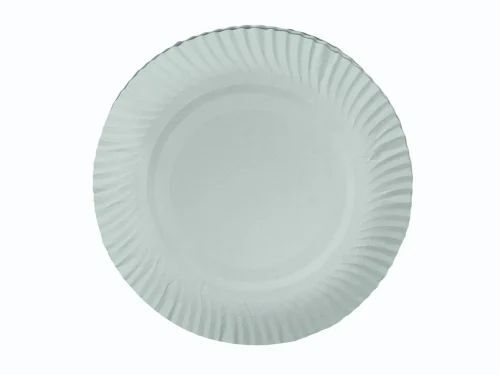 Biodegradable White Paper Plate