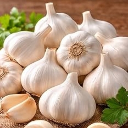 Garlic Bulbs