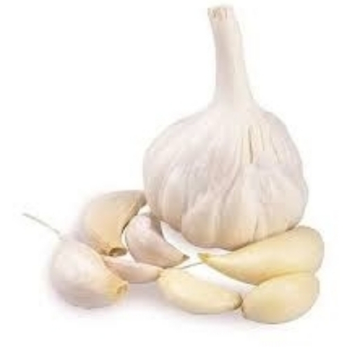 Fresh White Garlic