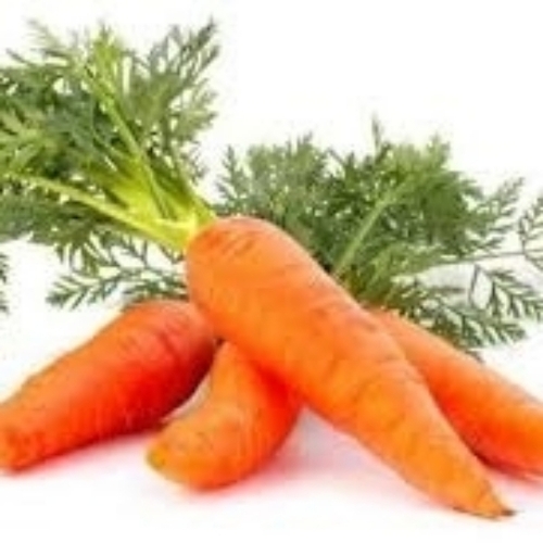 Orange Carrot