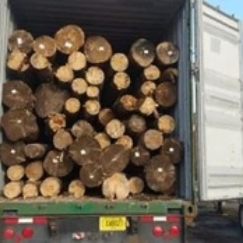 Wooden log