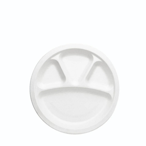 bagasse disposable paper plate