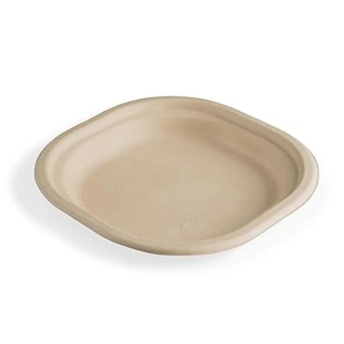 7 Inch Chowpatty Snack Plate