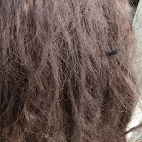 Frizzy Hair Extensions