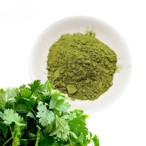 Dehydrated Coriander Powder - Color: Green