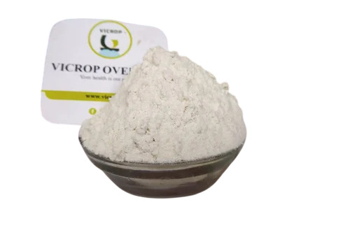 Dehydrated White Onion Powder